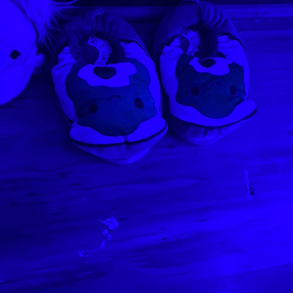 Avocado squishmellow slippers